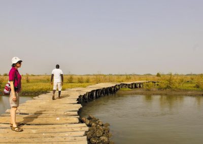 Rice bridges